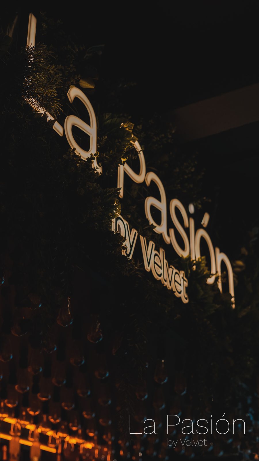 La Pasión by Velvet Leuchtschriftzug mit Pflanzen am Abend
